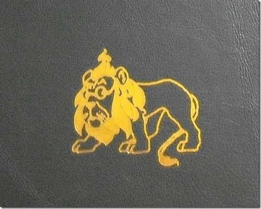 Lion1